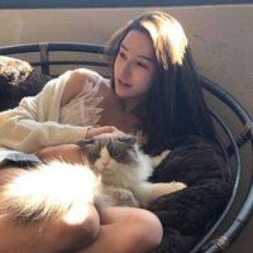 贝博app代言艾弗森手机app下载